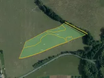 Prodej louky, Seč, 28117 m2