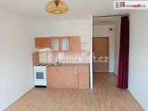 Pronájem bytu 1+kk, Děčín - Děčín VI-Letná, Želenická, 25 m2