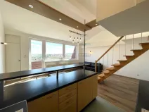 Pronájem bytu 3+kk, Praha - Smíchov, Nad Palatou, 75 m2