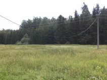 Dražba louky, Chodský Újezd, 13137 m2