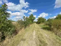 Dražba pole, Nový Bydžov, 1857 m2