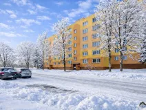 Prodej bytu 2+1, Kopřivnice, Francouzská, 43 m2