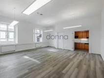 Pronájem bytu 5+kk, Praha, Václavské náměstí, 156 m2