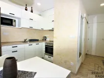 Prodej bytu 1+1, Znojmo, Gagarinova, 33 m2