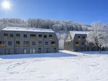 Prodej bytu 3+kk, Velké Hamry, 64 m2