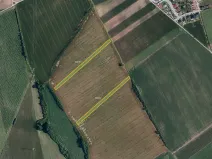 Prodej pole, Nový Poddvorov, 11203 m2