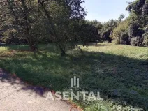 Prodej pozemku, Ostrava - Radvanice, Na Hrázkách, 12371 m2