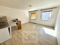 Pronájem bytu 1+kk, Plzeň, Toužimská, 32 m2