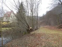 Dražba louky, Velké Hamry, 214 m2