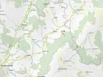 Dražba lesa, Vilice, 1105 m2