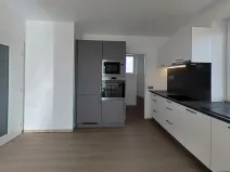 Pronájem bytu 3+kk, Rudíkov, 100 m2