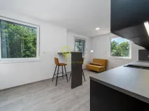 Prodej bytu 2+kk, Skorkov - Otradovice, 57 m2