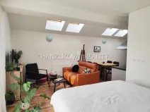 Pronájem bytu 1+kk, České Budějovice - České Budějovice 3, Pekárenská, 35 m2