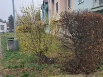 Dražba pozemku, Praha, 243 m2