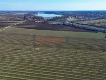 Prodej sadu/vinice, Sedlec, 11641 m2