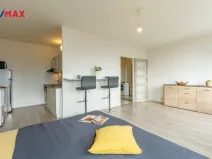 Prodej bytu 1+kk, Litvínov - Hamr, Přátelství, 33 m2