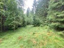 Dražba louky, Krásná, 10460 m2