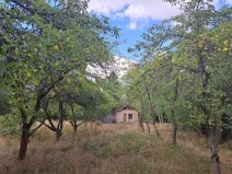 Pronájem zahrady, Smečno, Přelícká, 2508 m2