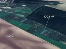 Prodej podílu lesa, Morašice, 698 m2