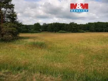 Prodej rybníku, Nový Bor - Pihel, 753 m2