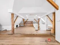 Pronájem bytu 1+kk, Příkosice, 85 m2