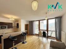 Pronájem bytu 2+kk, Karlovy Vary, Na Vyhlídce, 52 m2
