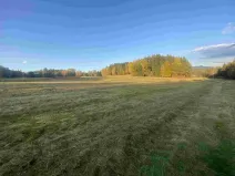 Dražba louky, Cvikov, 7470 m2