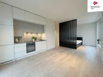 Pronájem bytu 1+kk, Plzeň, 38 m2