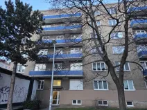 Prodej bytu 1+1, Praha - Vršovice, U Slavie, 44 m2