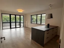 Pronájem bytu 2+kk, Praha - Karlín, U Sluncové, 65 m2