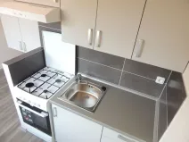 Pronájem bytu 1+1, Ostrava - Výškovice, Proskovická, 40 m2