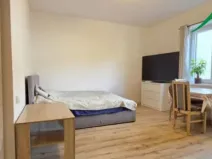 Pronájem bytu 1+kk, Tachov, Boženy Němcové, 27 m2