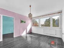 Prodej bytu 3+1, Hradec Králové - Slezské Předměstí, Polní, 58 m2