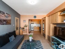 Pronájem bytu 2+kk, Praha, U pramene, 49 m2