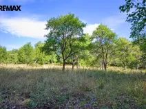 Prodej pozemku pro bydlení, Březnice, 1697 m2
