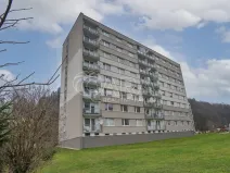 Pronájem bytu 1+1, Svoboda nad Úpou, Rýchorské sídliště, 34 m2