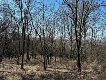 Prodej zahrady, Hustopeče, 4050 m2