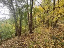 Prodej pozemku, Svijany, 2639 m2