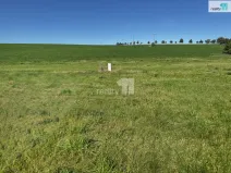 Prodej pozemku pro bydlení, Bušovice, 3737 m2