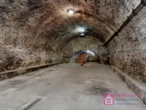 Prodej vinného sklepa, Velké Bílovice, U Školky, 125 m2