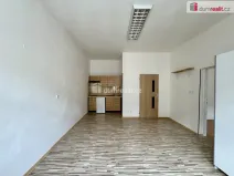 Pronájem bytu 1+1, Chomutov, Nerudova, 55 m2