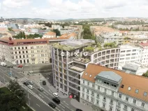 Pronájem obchodního prostoru, Brno, Milady Horákové, 234 m2