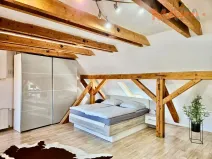 Pronájem atypického bytu, Chomutov, Revoluční, 100 m2