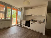 Pronájem bytu 1+kk, Pardubice, Lidická, 30 m2