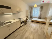 Pronájem bytu 1+kk, Praha - Smíchov, Moulíkova, 30 m2