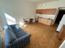 Pronájem bytu 1+kk, Praha - Nusle, U křížku, 28 m2