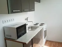 Pronájem bytu 1+1, Most, Růžová, 27 m2