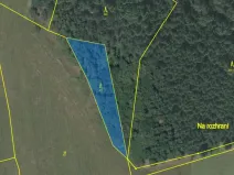 Prodej lesa, Čepřovice, 1644 m2