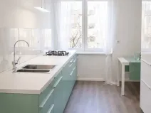 Pronájem bytu 2+kk, Praha - Žižkov, Pod lipami, 54 m2