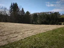 Prodej pozemku pro bydlení, Slapy, 2924 m2